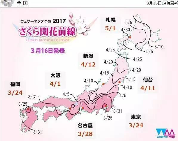 日本樱花赏花时间表