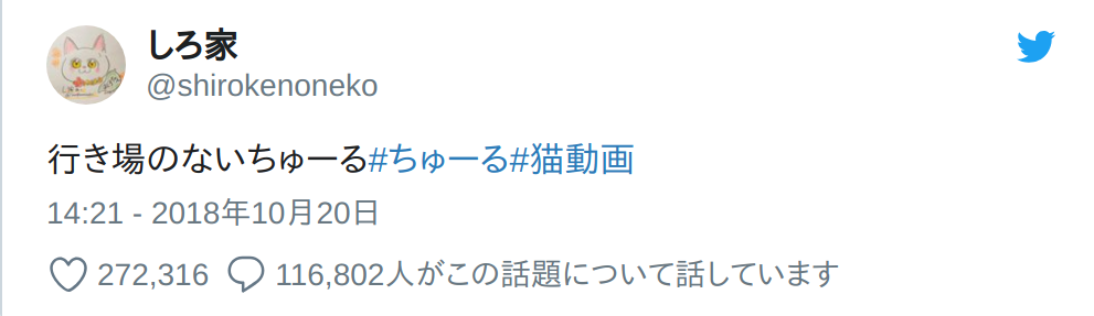 真正的“现充”    喵咪调情的短片让人又欣慰又羡慕