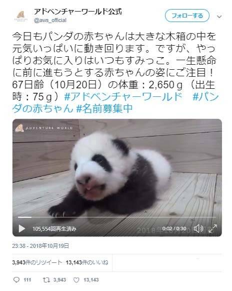 熊猫宝宝非常喜欢角落？ 官方视频推特上，熊猫粉丝们很高兴：“不管熊猫宝宝做什么，都被治愈了”